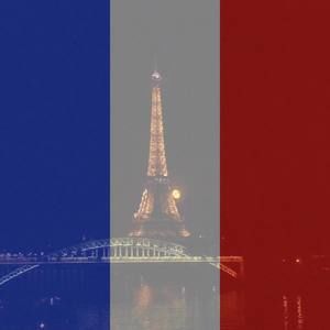 Meet your Posher, Sylvia